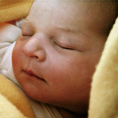 Vi r frldrar Vi r frldrar