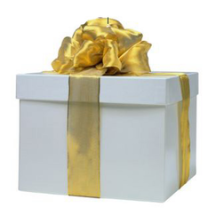 Brllopspresenter Brllopspresenter