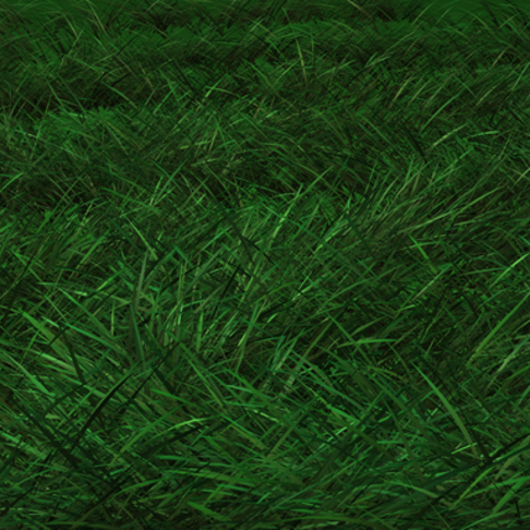 Green Grass