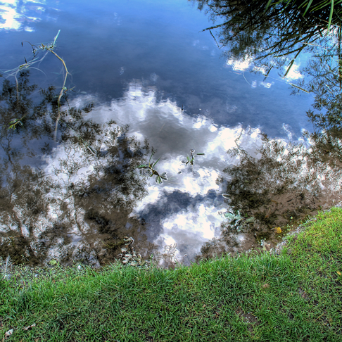 Spegelvatten Spegelvatten