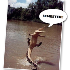 Semester Semester