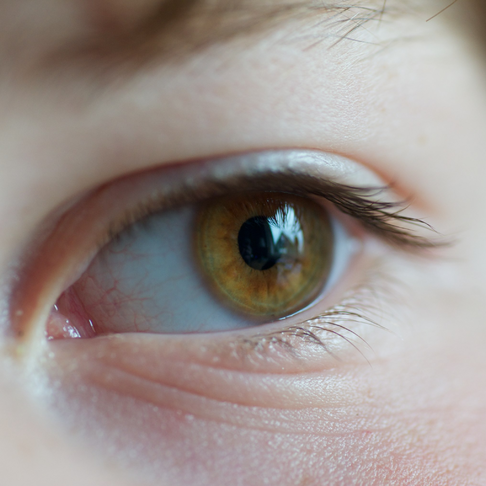 Within the eye Within the eye