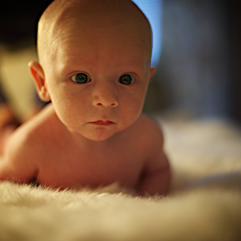 Fotosession Arvid Fotosession Arvid