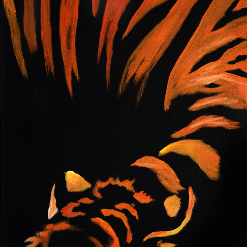 Tiger Tiger