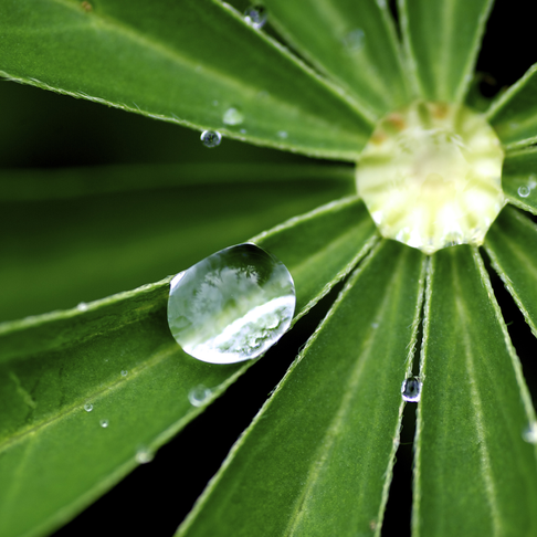 Vatten p lv Vatten p lv