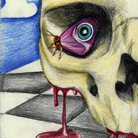 Skull and Butterfly Skull and Butterfly