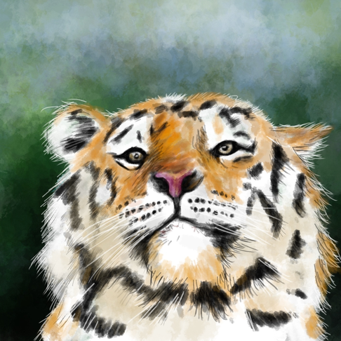 Tiger i skogen Tiger i skogen