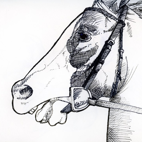 Horses Mouth Horses Mouth