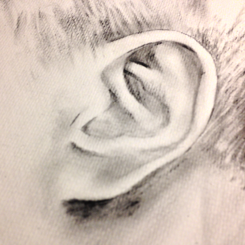 Dry Brush Krlek Dry Brush Krlek