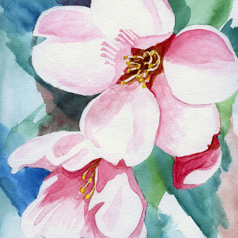 Krsbrsblommor Krsbrsblommor