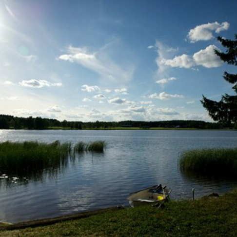 At the summer home