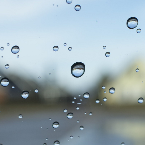 Life in a drop of rain Life in a drop of rain