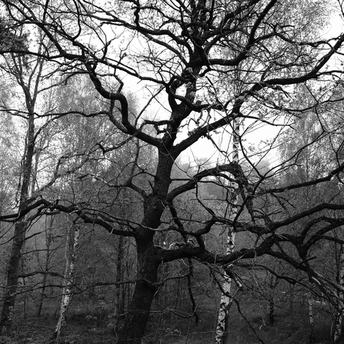 On the streets On the streets