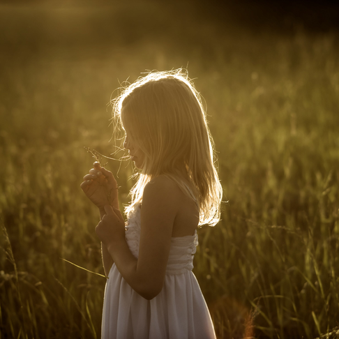 Sommarskatt Sommarskatt