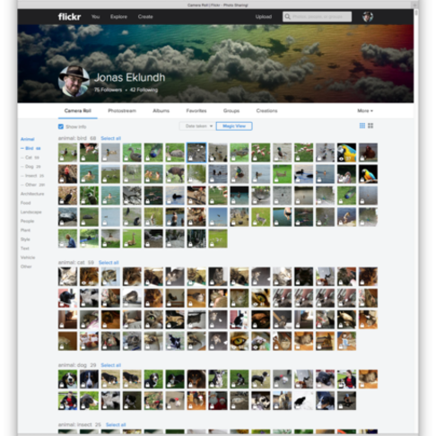 Flickr Magic View