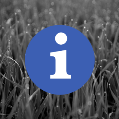 CSS filters for background images CSS filters for background images